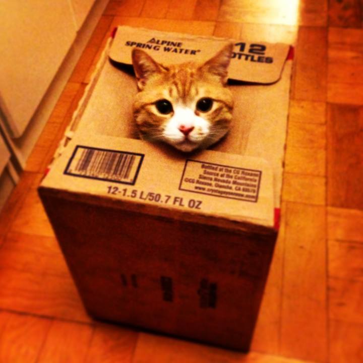 4392f573 8865 4097 9a92 e823c6db65a2