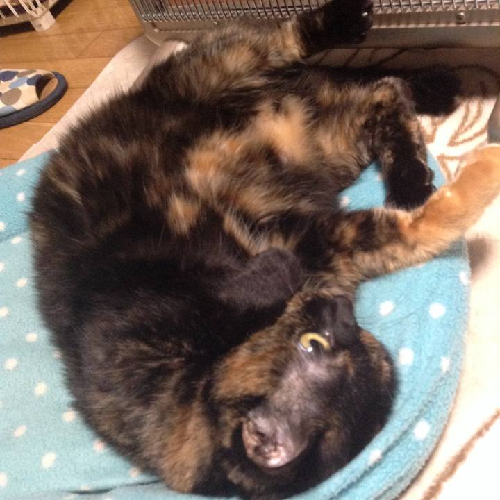 43935443 16b5 438e 8aea 26df4ac05aa7