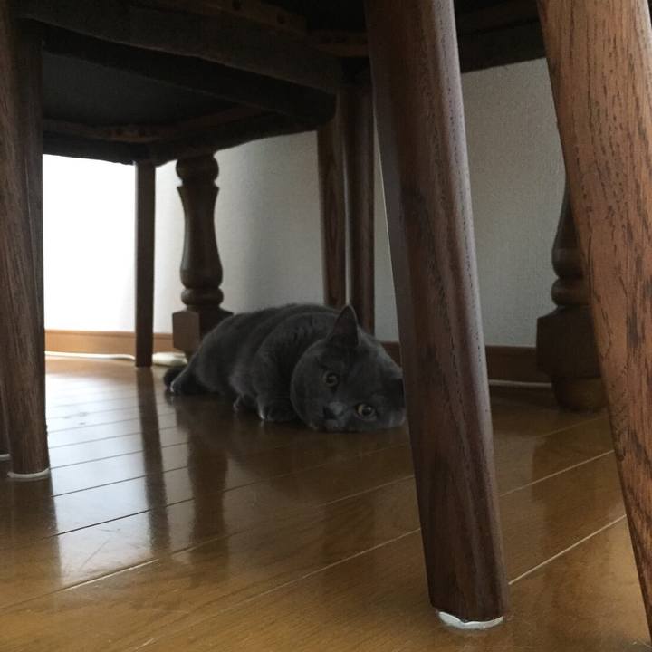 4393bcf9 3685 427f 95e4 7e87ced760ab