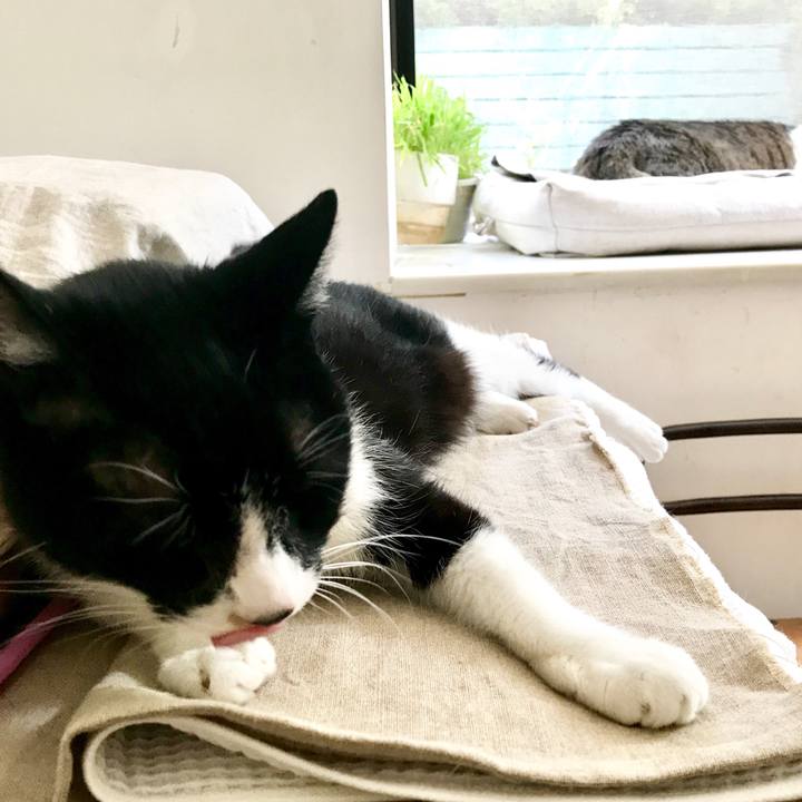 439451a8 ef5f 47b2 8b18 27a4d84d70c9