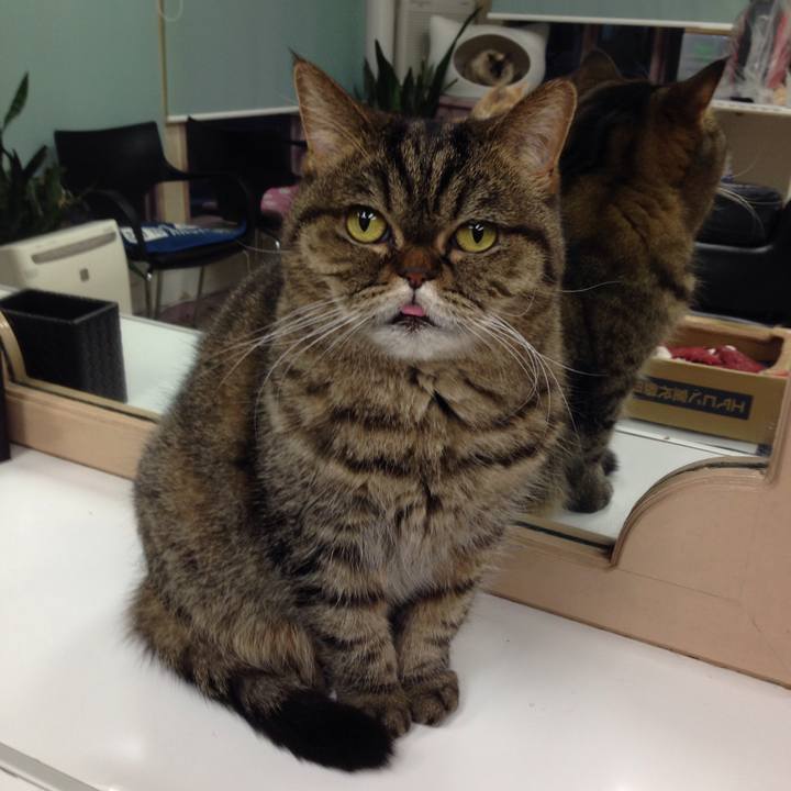 439477a4 ea06 4463 9992 d09c75e1f0d0