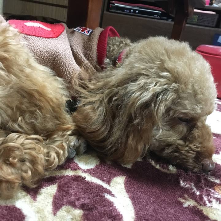 4394da8a ca9a 4437 a65f 7112a24a5f6a