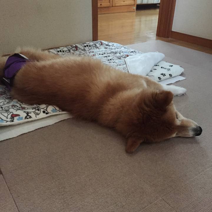 4396975c 51f4 490d bade 696c321ad9c1