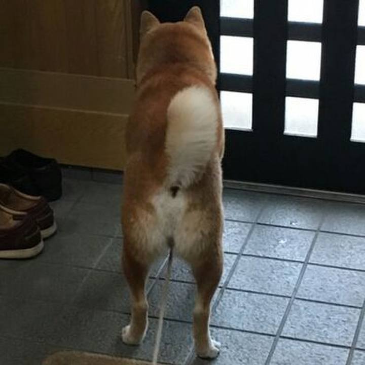 4397ce3e f1f6 432a aa2c 97e4a54afad4