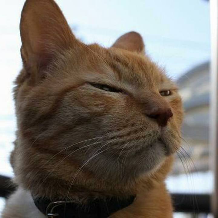 4397e201 28ab 41e0 9952 02253a4e952c