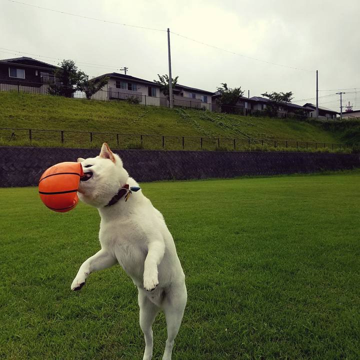 439840bd ca88 4991 a440 4590e948279f