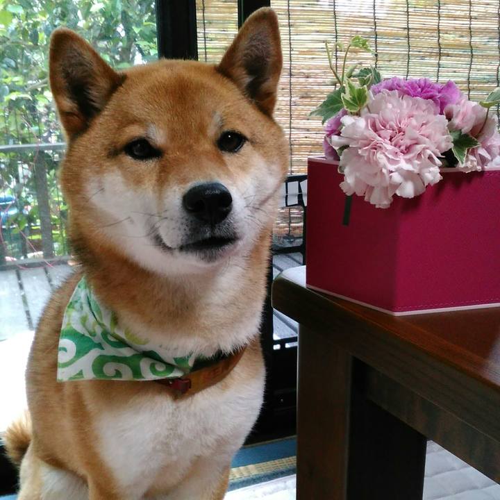 4398735b 8d0b 4045 97e3 8cafc0993780