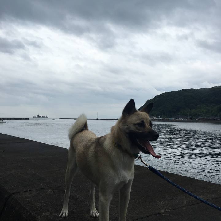 43988aea 88ad 4fc3 ba8a 97fe8fe2298e