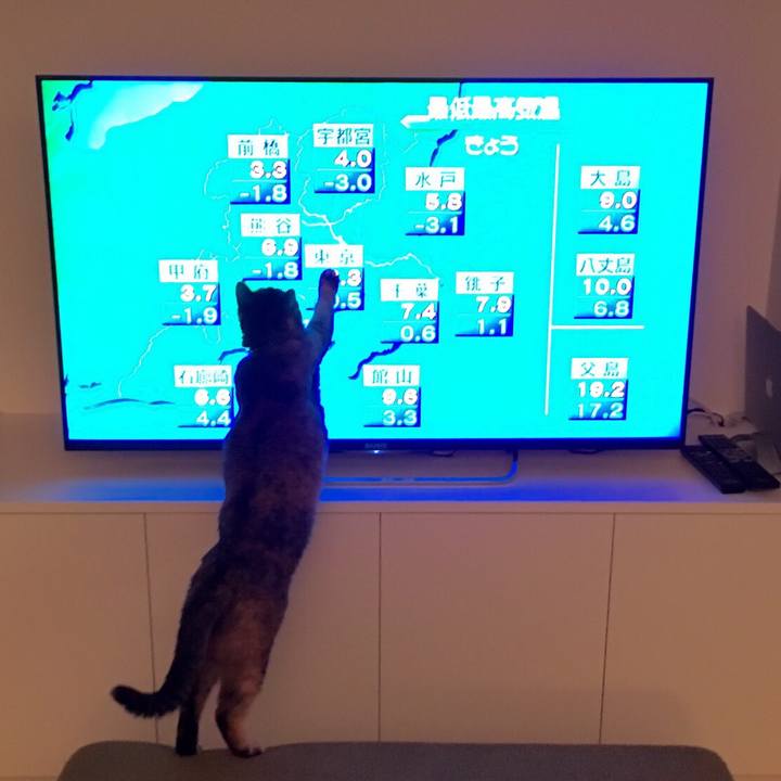 43988fa6 2465 4d40 a967 d605b3dc08fd