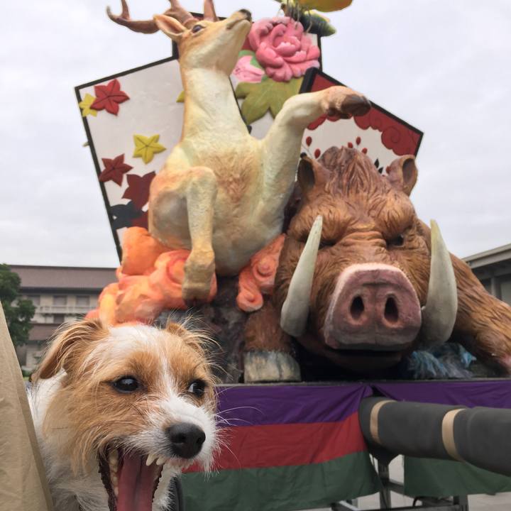 439927e1 c1a8 4dad 91bc afa42ca3fe34