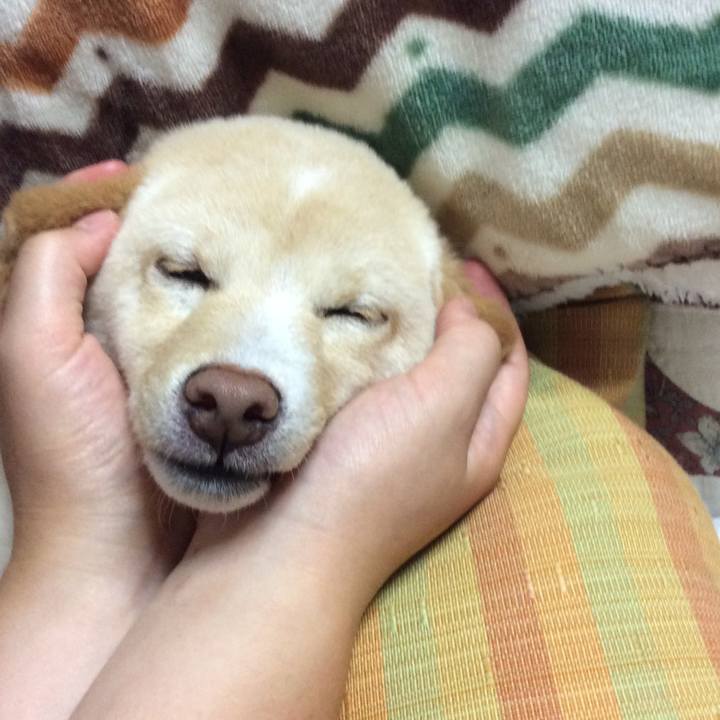 439a5b60 f5d6 4d7a 8130 e5ae2c57a034