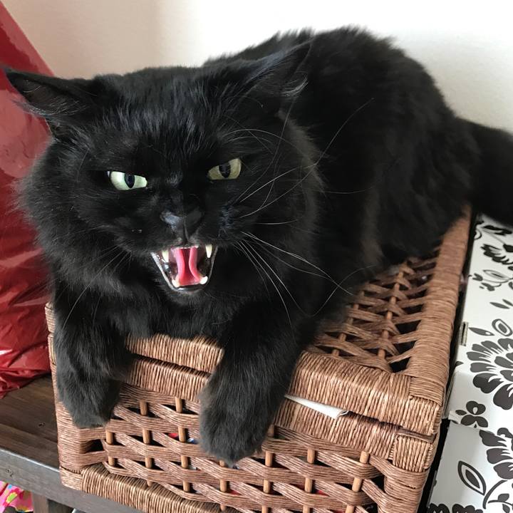 439a72f4 33c1 4152 a63a 819b2f92c3be