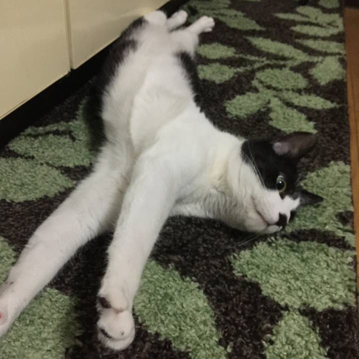 439b7030 1979 4979 82c5 db00c93a15e9