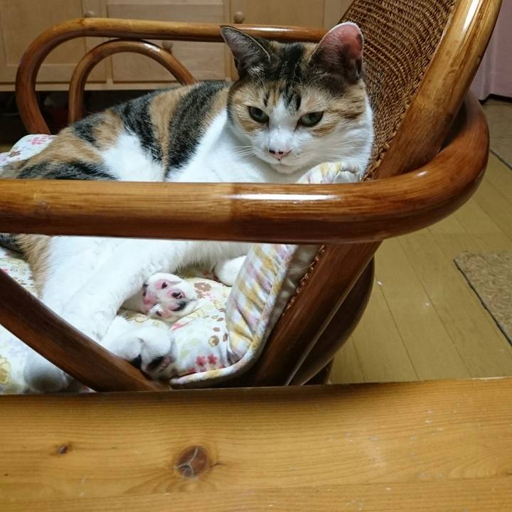 439c0a71 e341 4740 b4ff e0721f5dff41