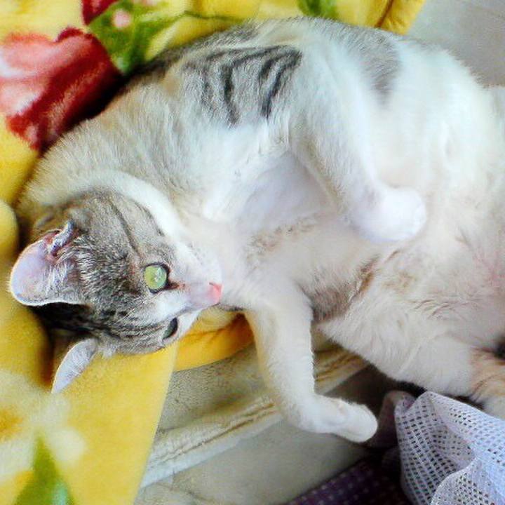 439d1d74 3c26 4be4 aa68 412f6fc5cf3d