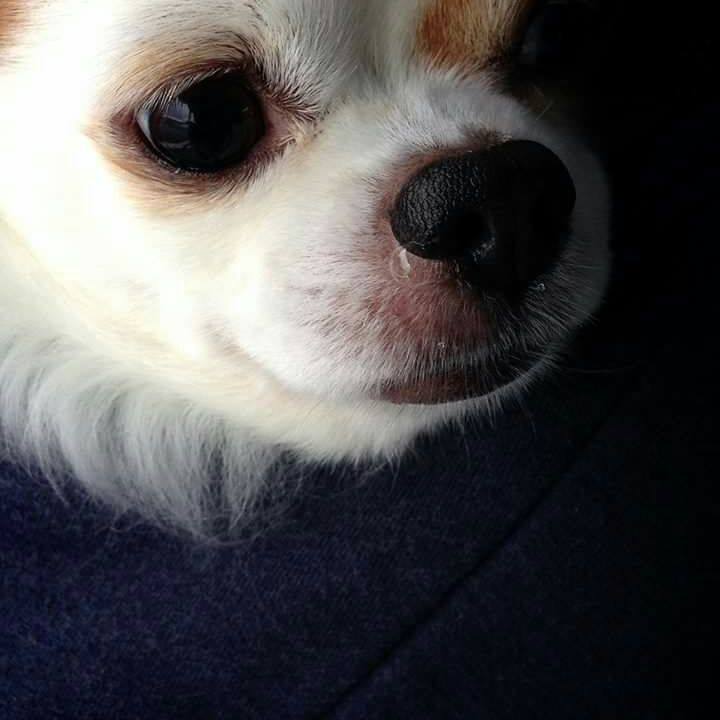 439d5069 ae49 42b9 a251 59a7d66a34ff