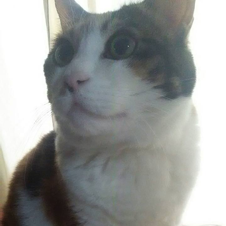 439dc80a f0a2 4d3b 8a01 0a5f0d2e67f1