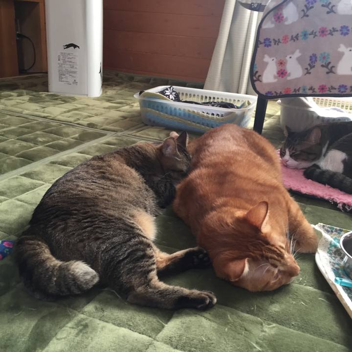 439e0ebf fd68 465d 876d 71013e05bdd0