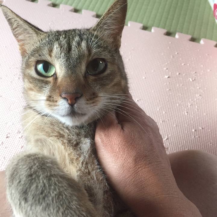 439e3c89 ab4e 4dcc bbe1 ba0b925cdcbc