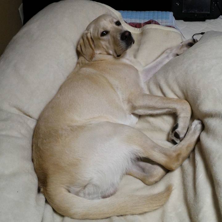 439ecf03 8e3c 4e3c bd04 36d4a7ed3fee