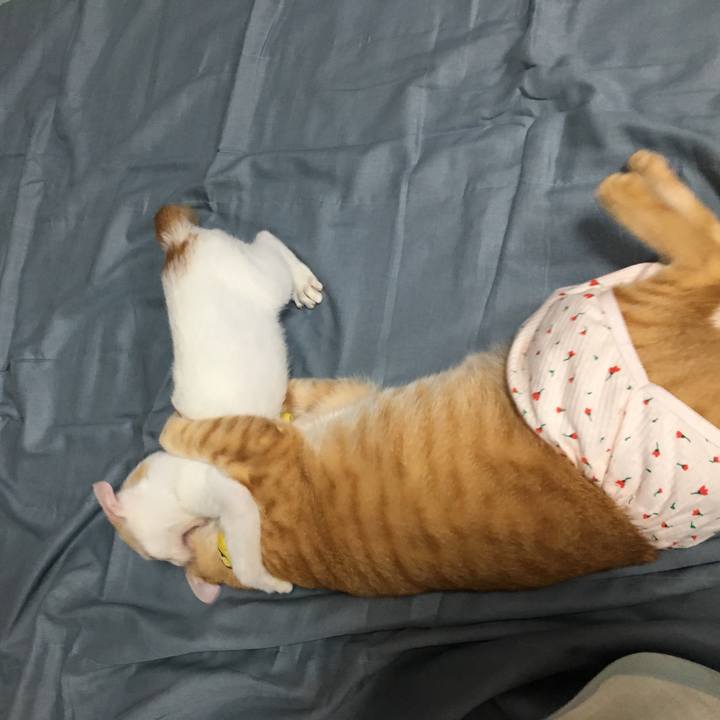 439ef898 1f3c 4d0f 8cc3 751d61bd785d