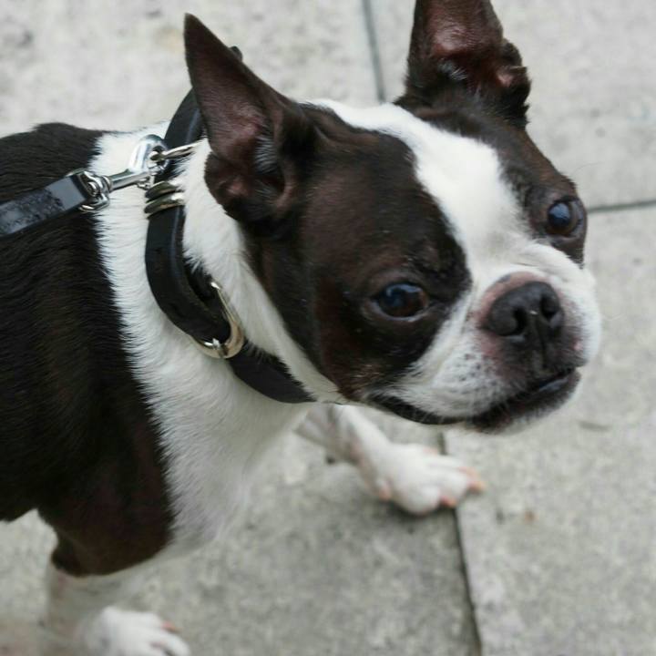 439f32f6 9e61 4d30 9ff2 e146f07baa8a