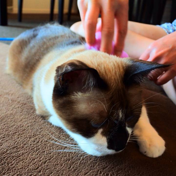 439f9559 dfa2 450a 9319 e5c36497829a