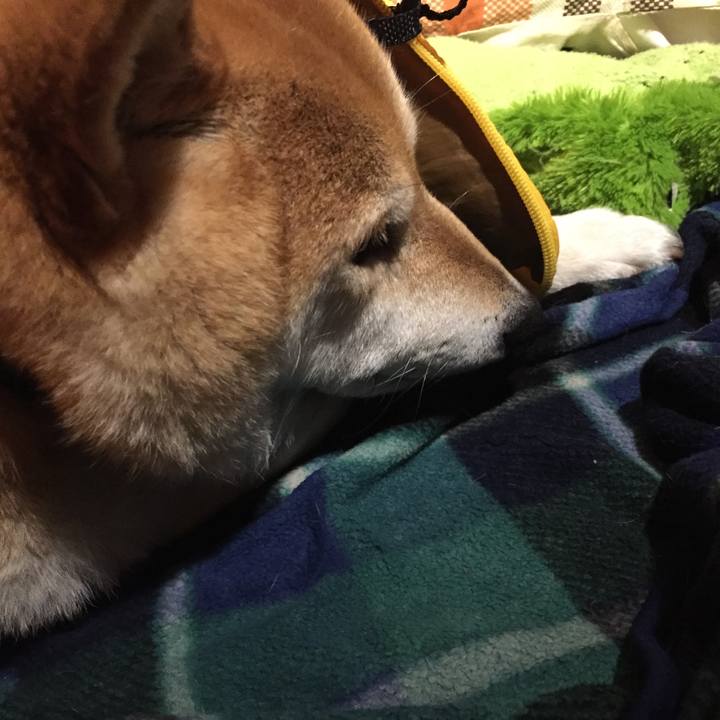 43a1508b 8882 41b7 ab7b d9462f4a0b1e