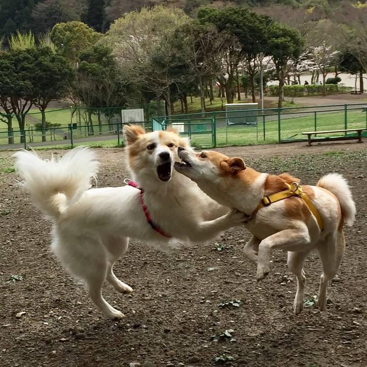 43a15354 6770 43e5 ba3d 1a2910750379