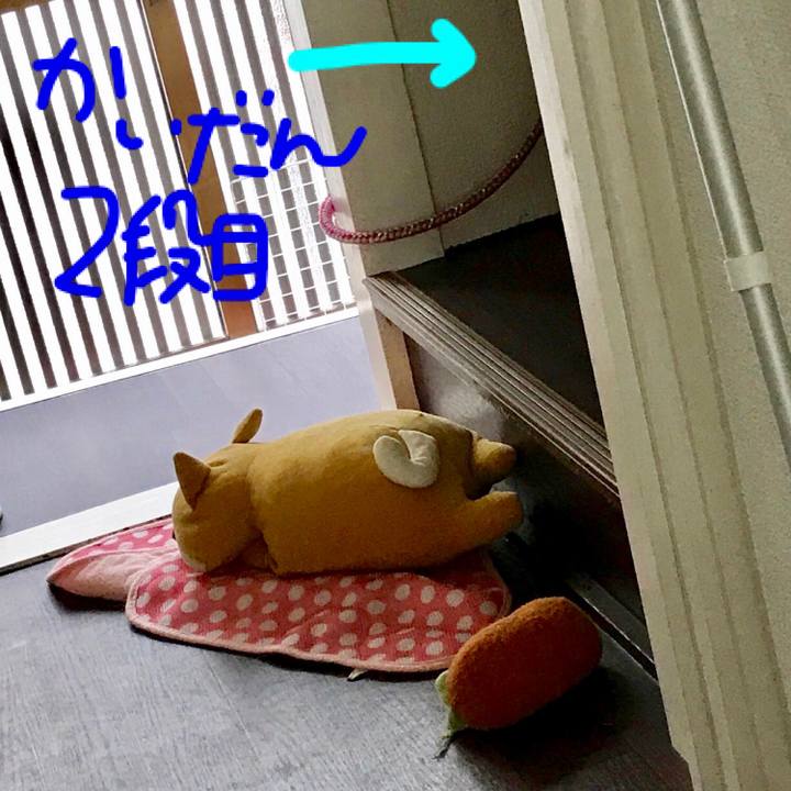 43a2d637 f28f 41a2 95a3 61c8802c1555