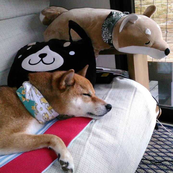 43a4107e 2d91 428d 8c8d 2a254bb93b60