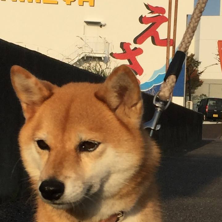 43a4b605 4b00 4859 9475 f3e9f01a65d0