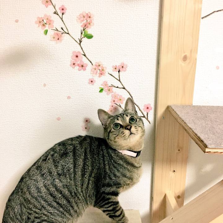 43a4da89 7527 457e ac0d 071ac231b23d