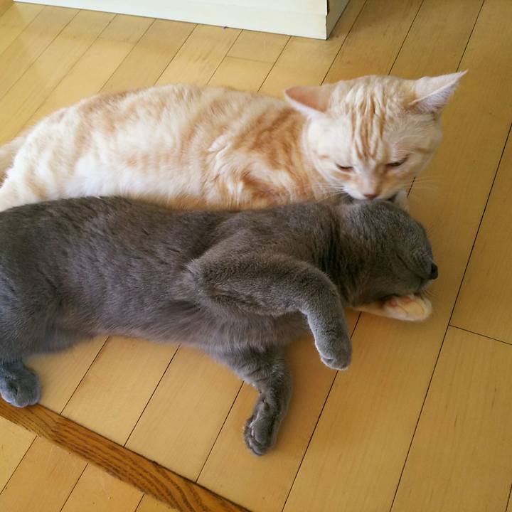 43a52ddc 5072 4b63 8fb7 3b79bb1a1abb