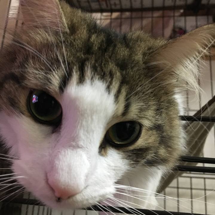 43a5edee 959f 4e22 926b 54b328f7401e