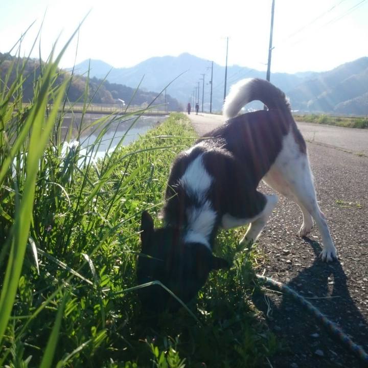 43a61ca3 004e 48fe a3a1 ef5701d7dfaa