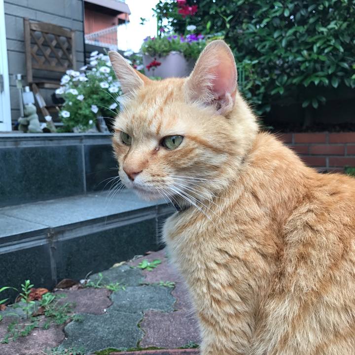 43a63829 8417 4f42 a451 22f7586430cf