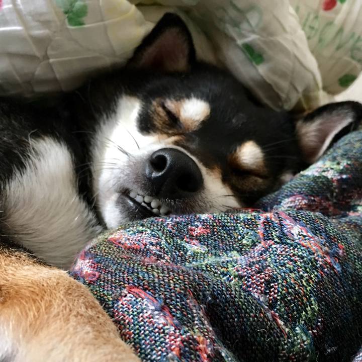 43a63e7e eda6 4ca2 8ab5 1c926d09fd12