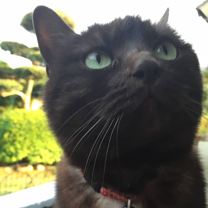 43a6aab4 982c 4641 be99 603e60562c77