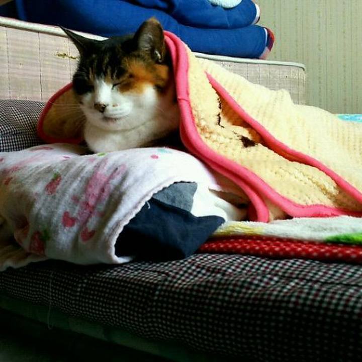 43a6d128 7893 4cc7 9997 b2978356125c