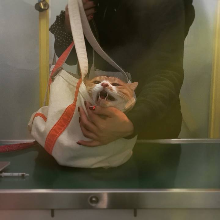 43a74515 71c2 4cd6 9c6a 8467685b8ea9