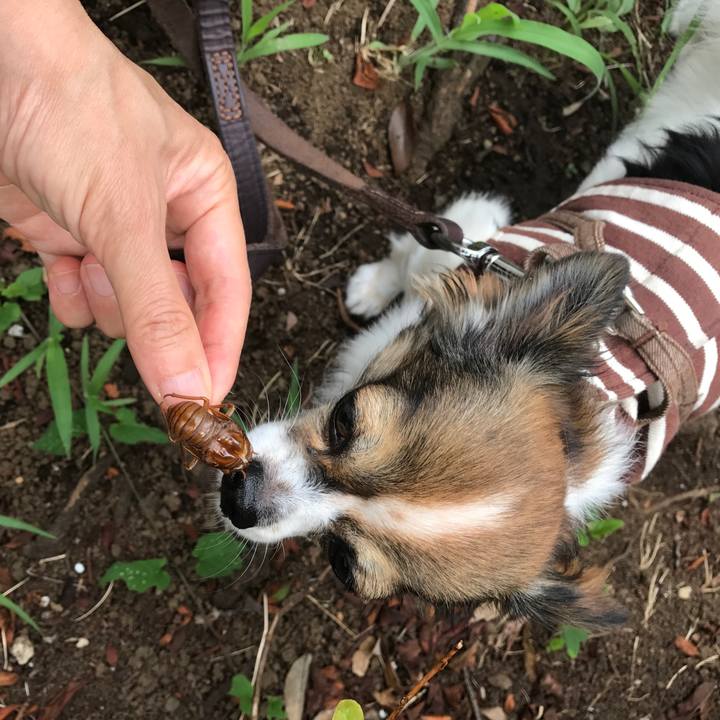 43a75afb 92fa 4639 9de1 16690fb81f78