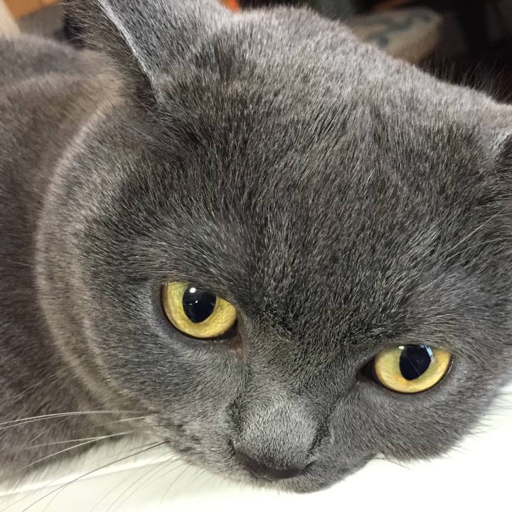 43a7829e 0b24 4d06 98f7 f4e334179d70