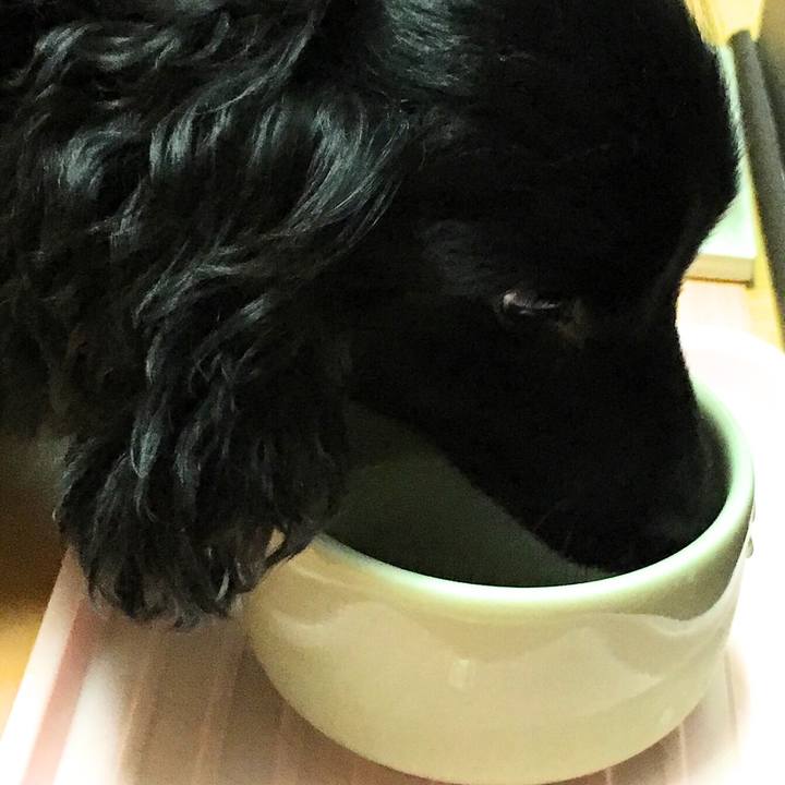 43a78efc 7990 4d63 96d8 2dd5887c533f