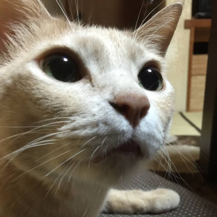 43a856f8 d8df 46ed 9a19 1f21559ecd92