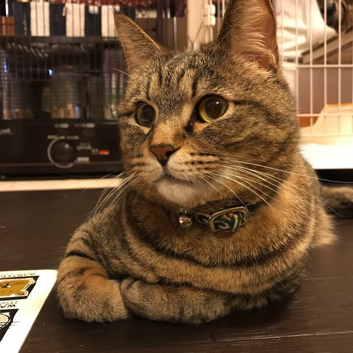 43a89781 d24a 46f8 9cb8 b82c6ab36a45