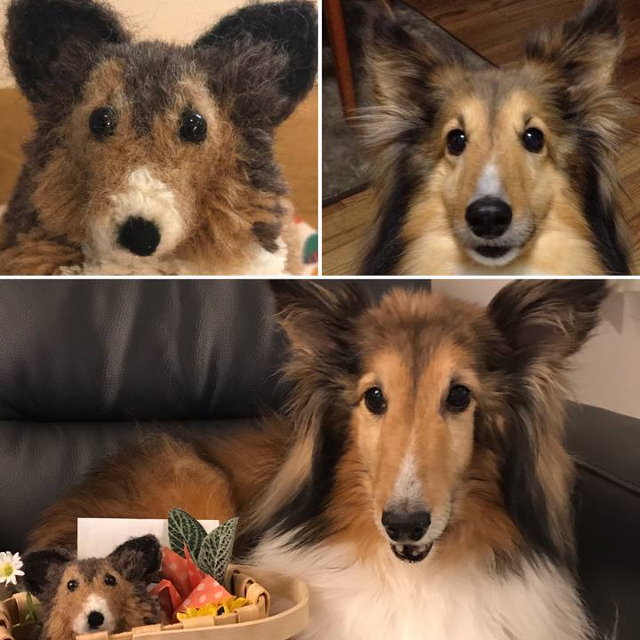 43a8a913 b56f 4cc5 8ca3 add6e8a9ffcf