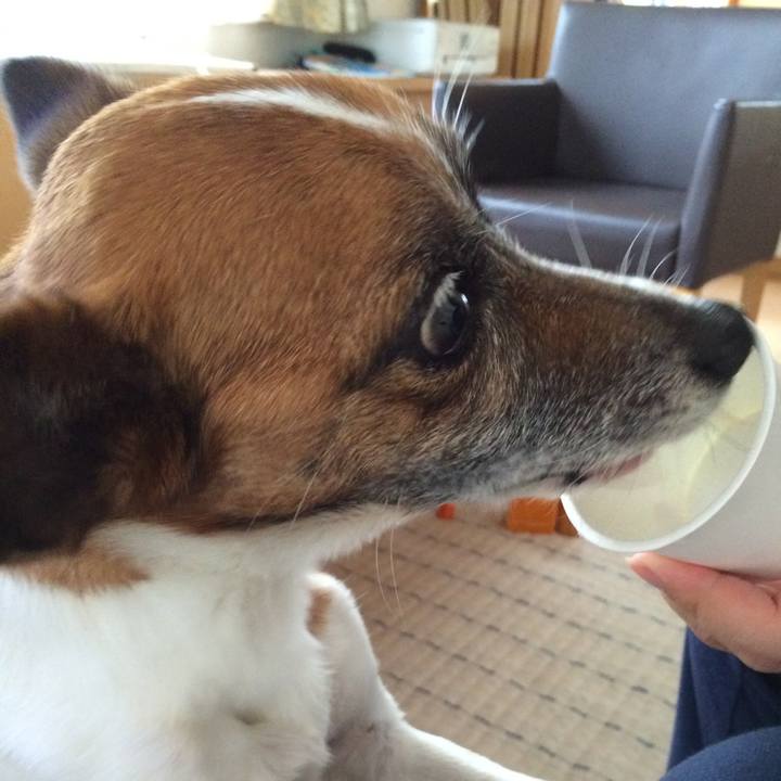 43a8eb80 31a6 4142 bf0d e60d14d390d9