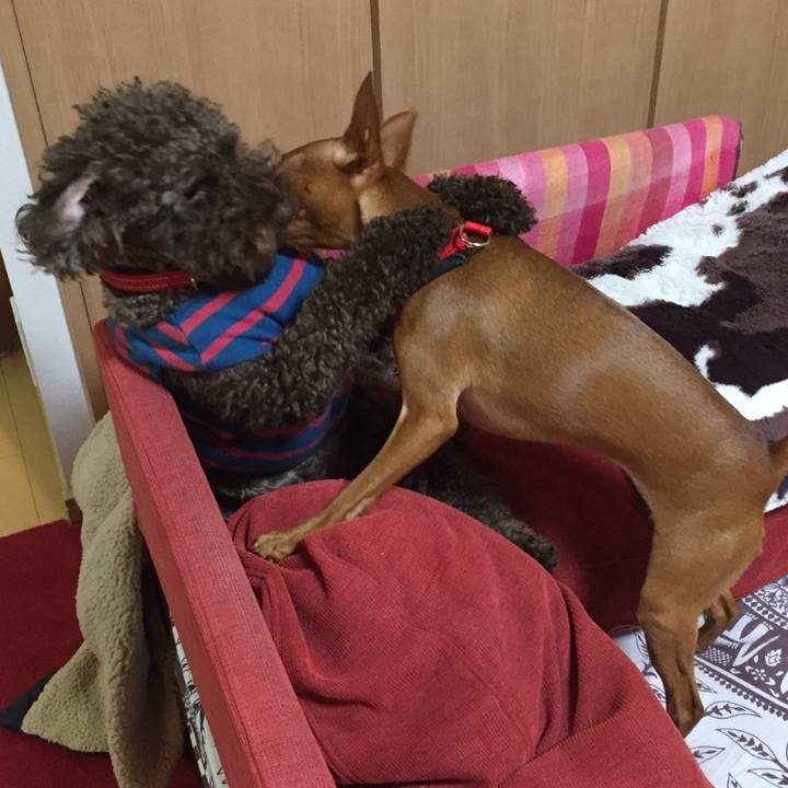 43a8fa2a 0748 431f a6f7 c7c8a298e73f