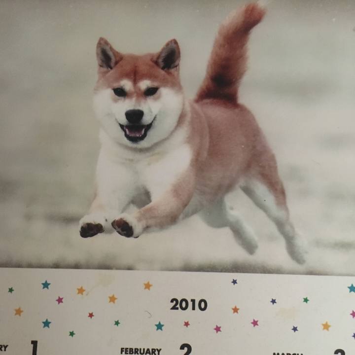 43a96e8d acd4 4122 a9e3 d93986eca427